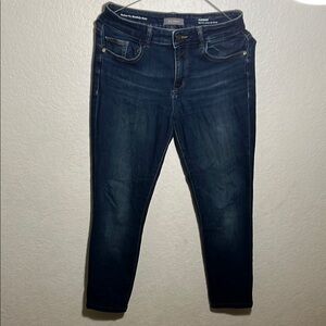 DL1961 Blue Skinny Jeans with Contemporary Fit